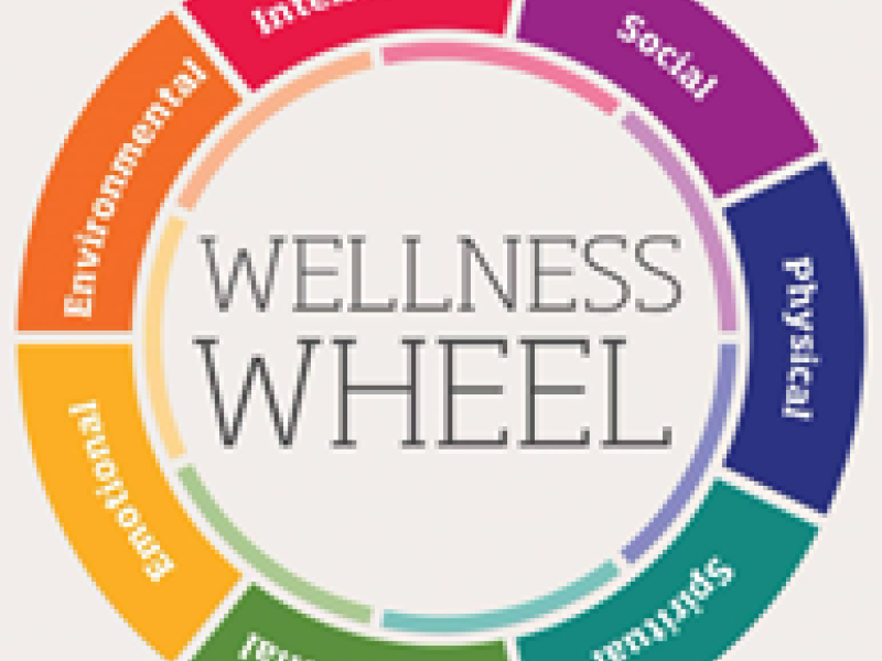 Wellness Wednesday: Physical Wellbeing