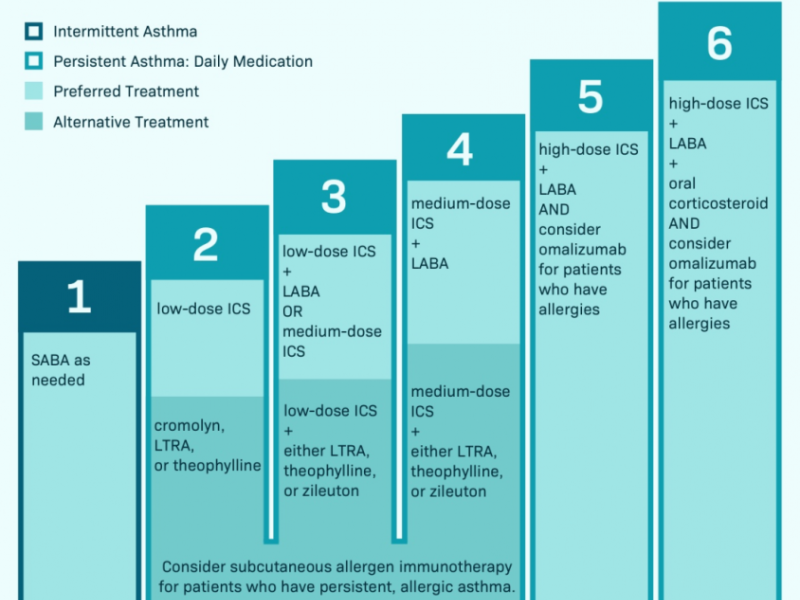 Board Review: Internal Medicine 