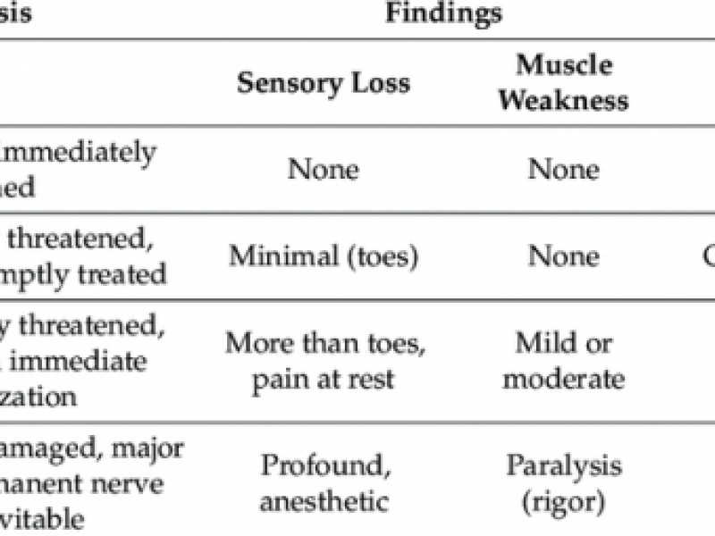 Board Review: Cardiology