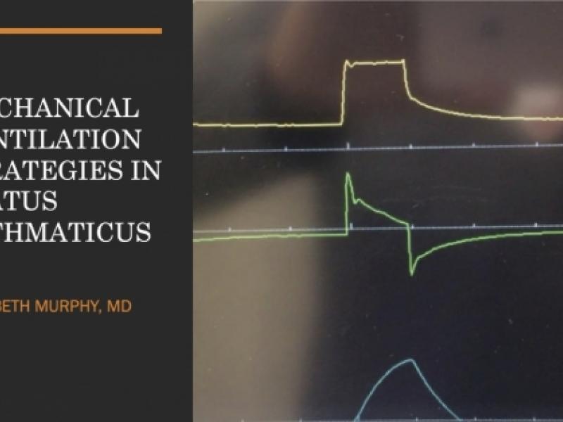 Mechanical ventilation strategies in status asthmaticus 