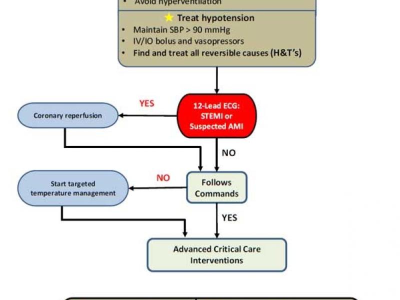 Board Review: Critical Care